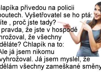 Vtip dne 29.7.2025