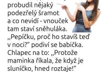 Vtip dne 28.10.2025